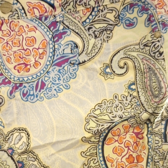 Paisley Print Women's Skirt - Picture 2 of 4